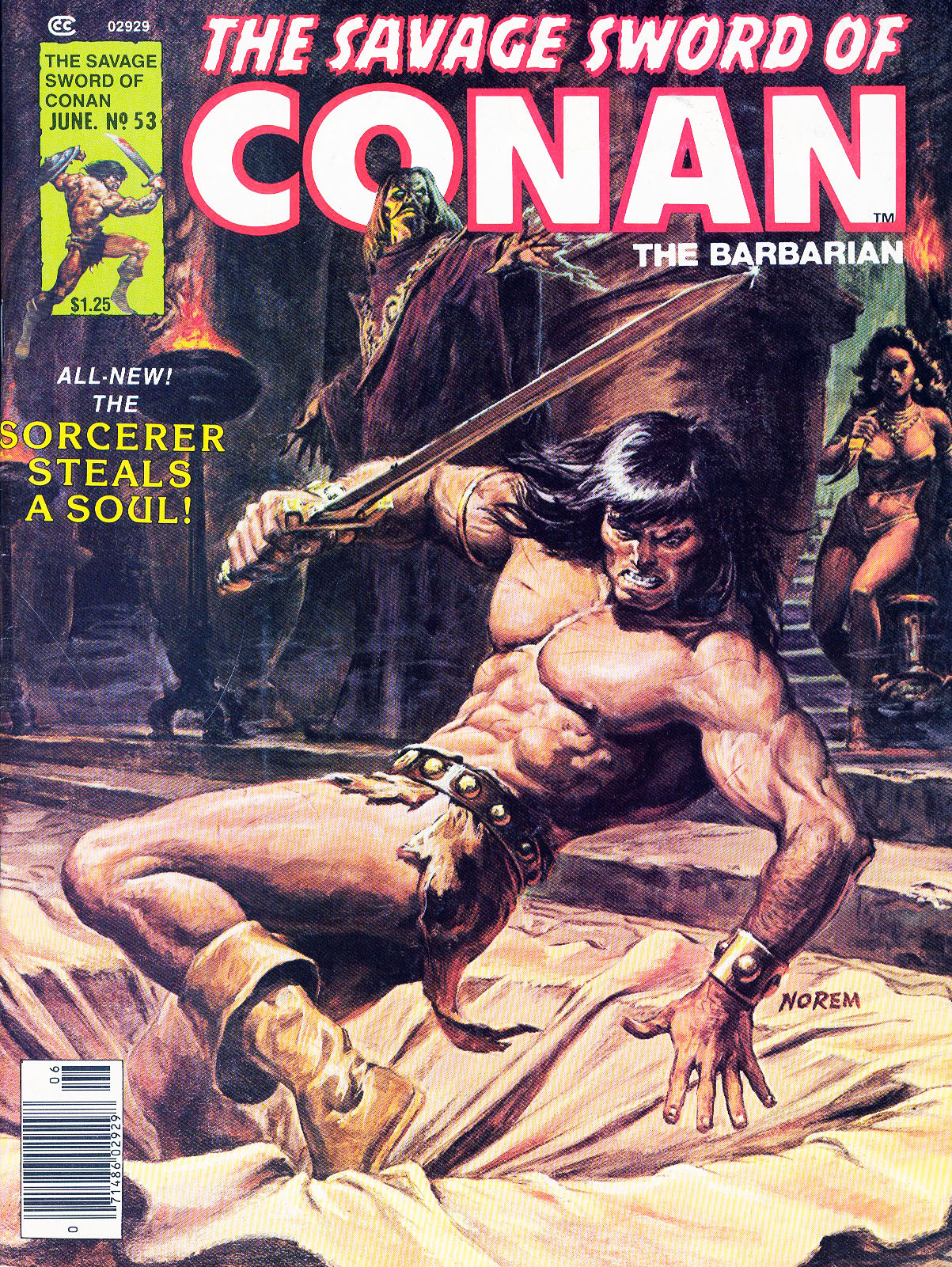 CONAN'IN VAHŞİ KILICI 53 053