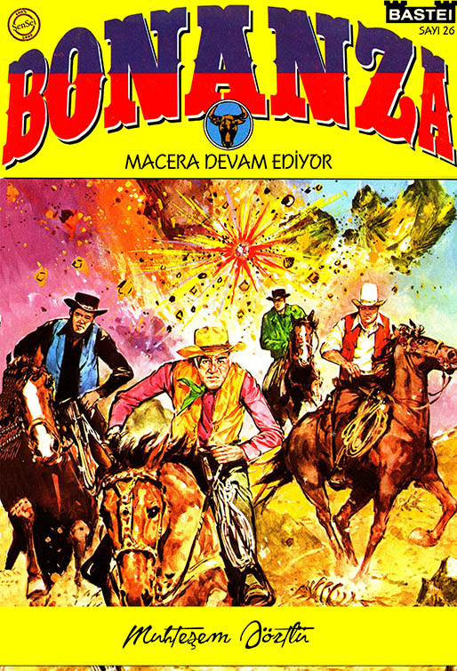 BONANZA 26 026